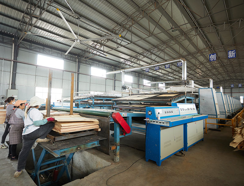 veneer drying