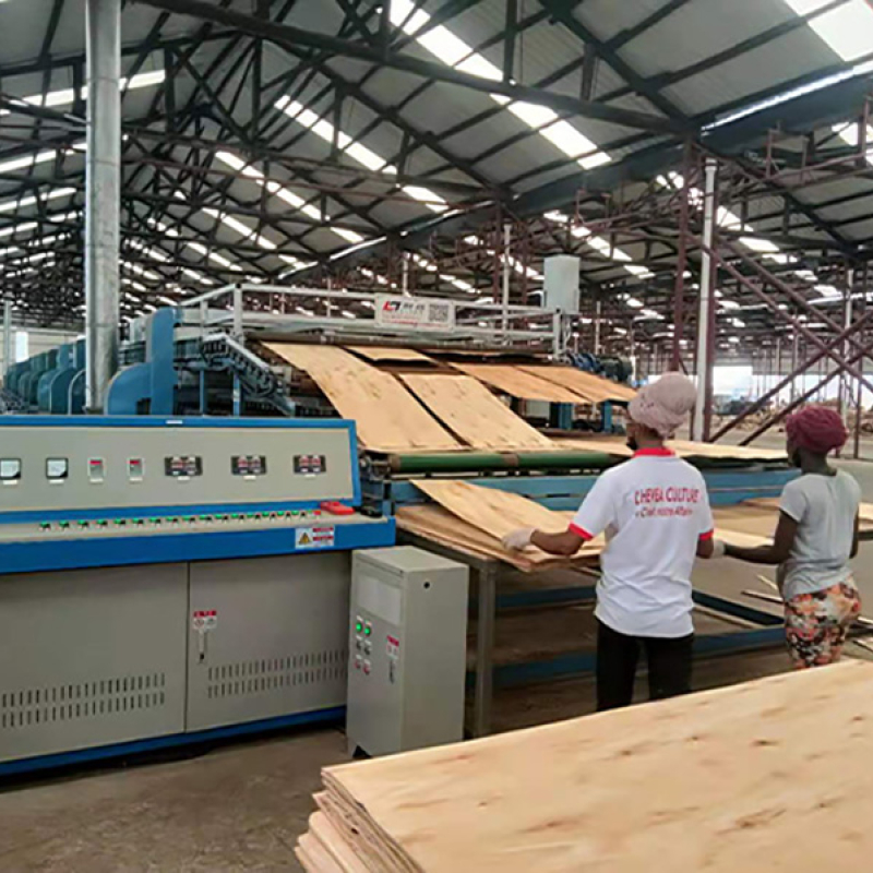 Veneer Dryer Machine