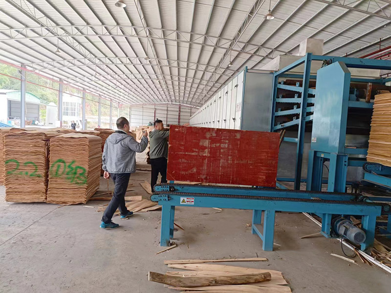 Veneer Wood Drying