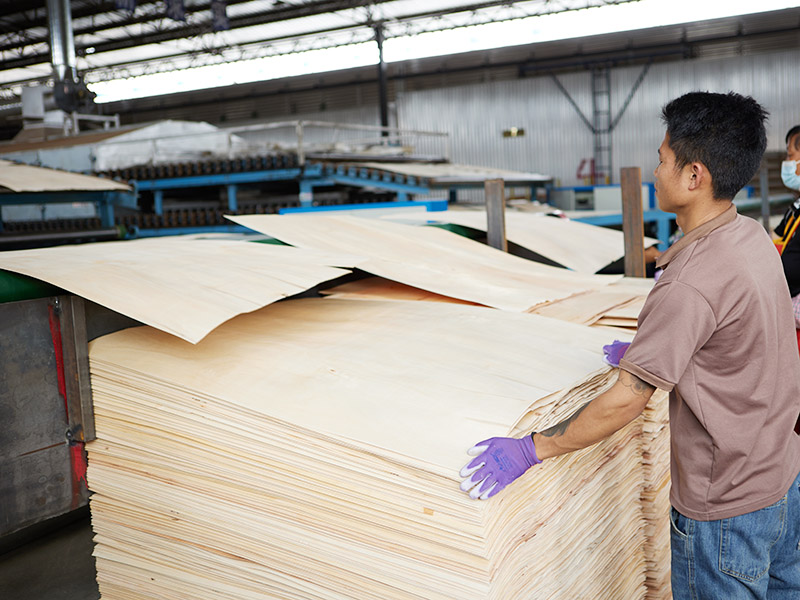 Veneer Drying Machine.jpg