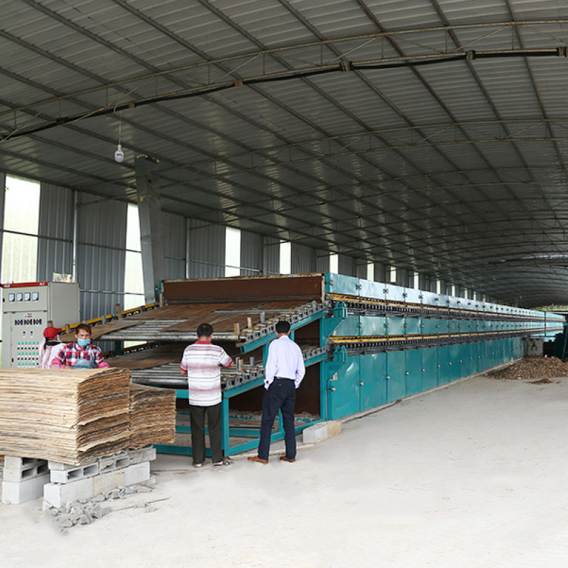 Veneer Dryers