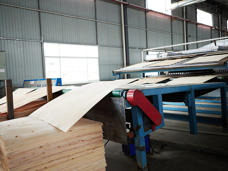 veneer drying machine.jpg