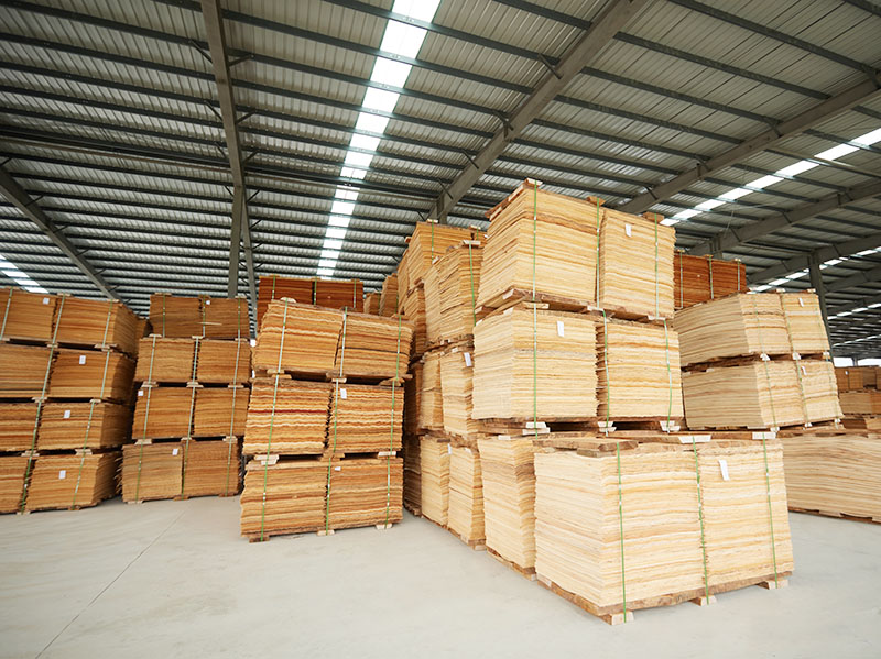 pengeringan veneer.jpg