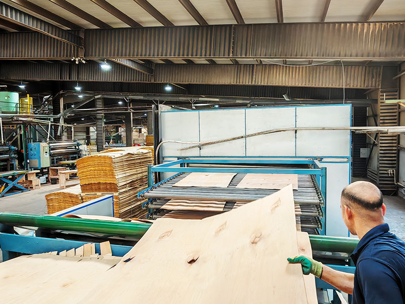 Máquina secadora de rodillos de madera contrachapada.jpg